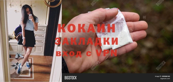 амф Алзамай